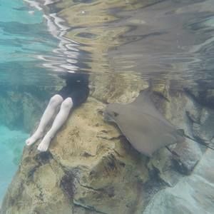 Meet your Posher, Timothy